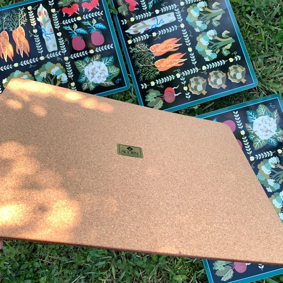 RETRO VEGETABLE kitchen table dinning placemats OS - Picture 12 of 14